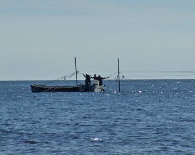 Прикрепленное изображение: DSCF6164b.jpg